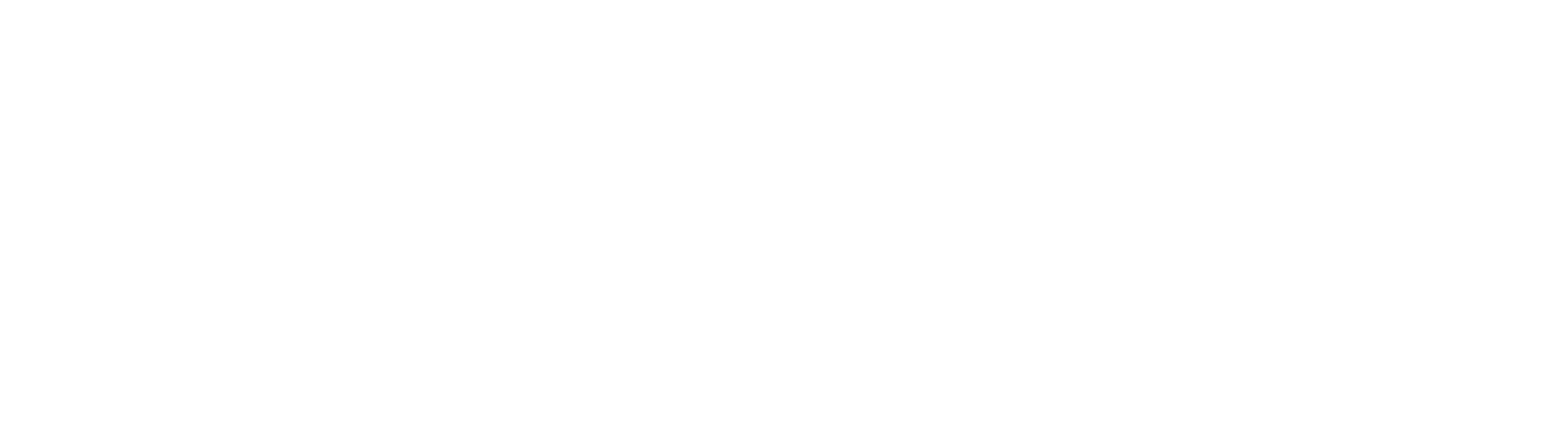 logo-image